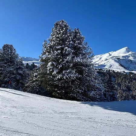 Garden Park * Interlaken