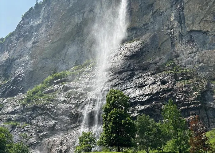 Dom wakacyjny Garden Park