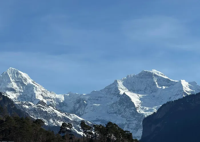 Garden Park Hébergement de vacances *